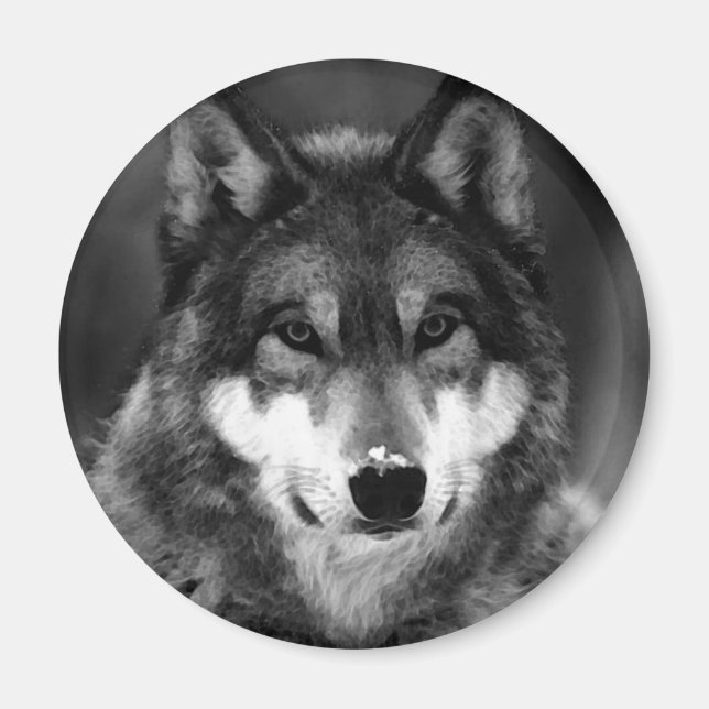 Black & White Wolf Magnet (Front)