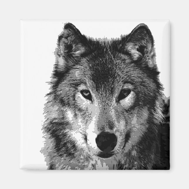 Black & White Wolf Portrait Magnet (Front)