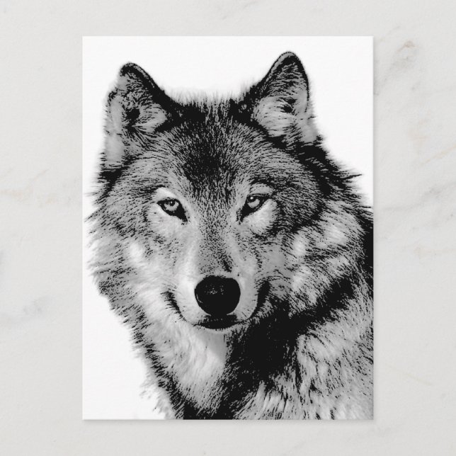 Black & White Wolf Postcard (Front)