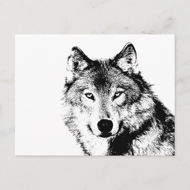 Black & White Wolf Postcard (Front)