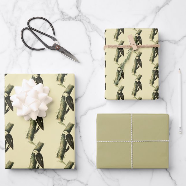 Black & White Woodpecker Wrapping Paper Sheet (Front)