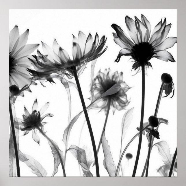 Black & White X-Ray Flowers Poster (Front)