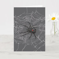 Black Widow Spider And Spiderweb Drawing Art