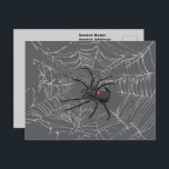 Black Widow Spider And Spiderweb Drawing Art Postcard<br><div class="desc">Postcard Post Card printed with Black Widow Spider And Spiderweb Drawing Art original hand drawn graphic design artwork illustration by TheFabricSeal print on demand shop at Zazzle.com #ZazzleMade ©️Original. https://www.zazzle.com/store/thefabricseal Celebrate Halloween and Goth any time of the year with our cool looking black coloured with red marking widow species spider...</div>