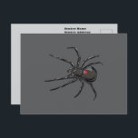 Black Widow Spider Original Drawing Art  Postcard<br><div class="desc">Postcard Post Card printed with Black Widow Spider Original Drawing Art hand drawn graphic design artwork illustration by TheFabricSeal print on demand shop at Zazzle.com #ZazzleMade ©️Original. https://www.zazzle.com/store/thefabricseal Celebrate Halloween and Goth any time of the year with our cool looking black coloured with red marking widow species spider and big...</div>