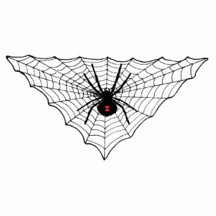 Black Widow Spider Web Photo Sculpture
