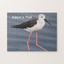 Black Winged Stilt Bird Photo Personalized Jigsaw