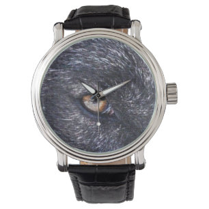 Black Wolf Eye Wildlife Watch