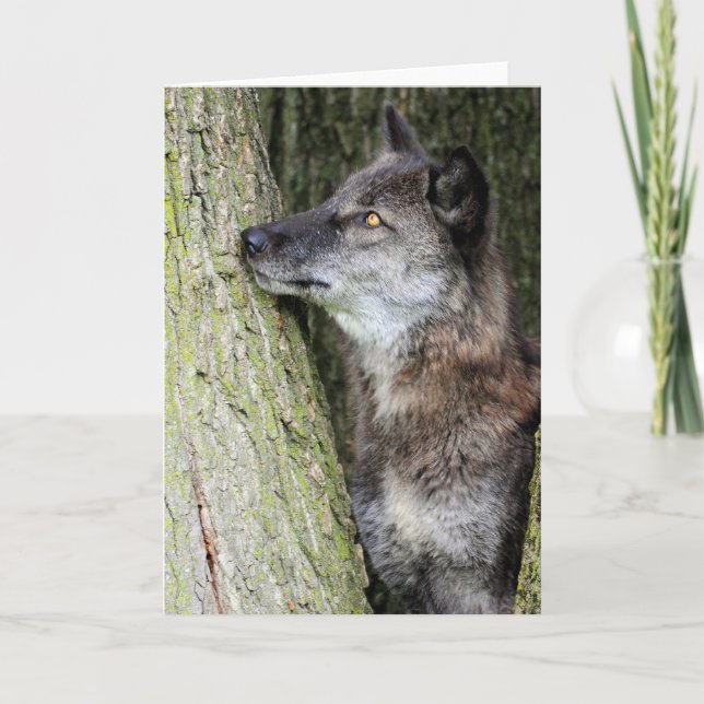 Black Wolf Greeting Card (Front)