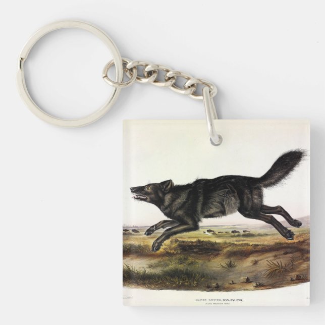 Black Wolf, or Black American Wolf (Canis Lupus) Keychain (Front)