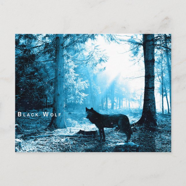 Black Wolf Woods Forest Night Fantasy Postcard (Front)