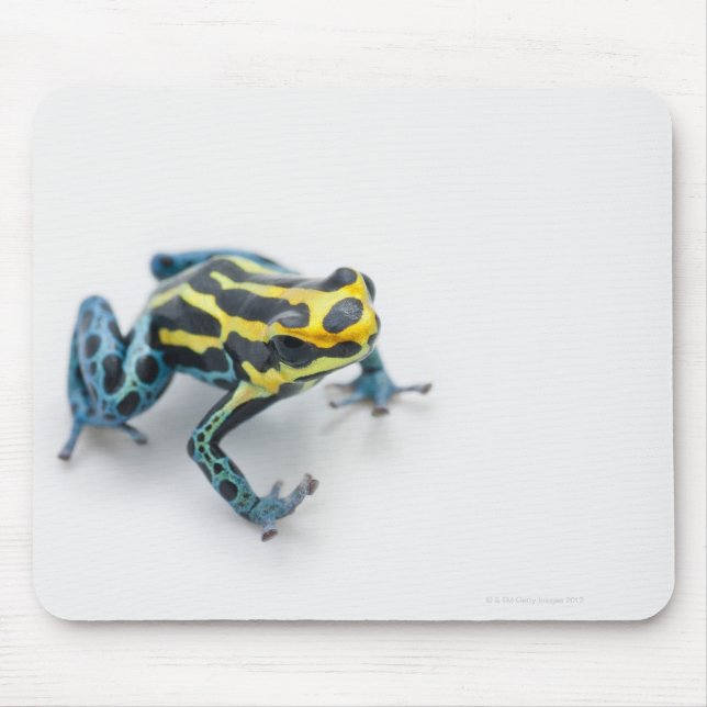 Black, Yellow and Blue Poison Dart Frog Mouse Pad (Front)