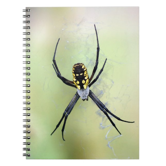Black & Yellow Argiope Garden Spider Notepad Notebook (Front)