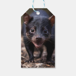 Black Young Australian Tasmanian Devil, Gift Tags