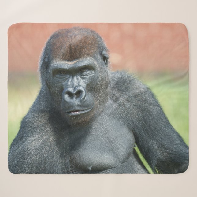 Blackback Gorilla Lope Portrait Sherpa Blanket (Front (Horizontal))