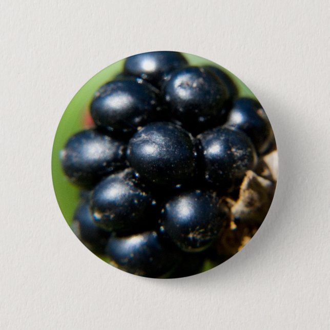 Blackberries 2 Inch Round Button (Front)