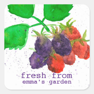 Blackberries Fruit Fresh From The Garden Of Square Sticker