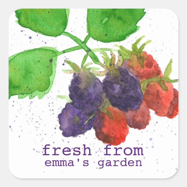 Blackberries Fruit Fresh From The Garden Of Square Sticker (Front)