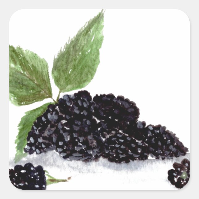 Blackberries fruits watercolor food summer forest square sticker (Front)