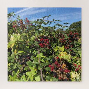 Blackberries & Honeysuckle in English Countryside Jigsaw Puzzle