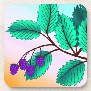 Blackberries on a branch coaster