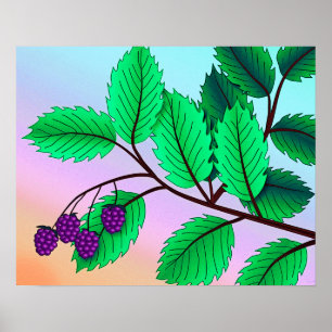 "Blackberries on a Branch" print with border
