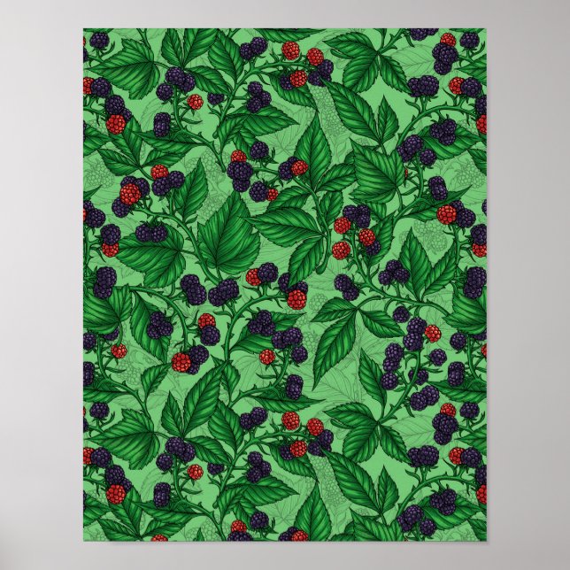 Blackberries on green poster (Front)