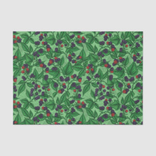 Blackberries on green tissue paper