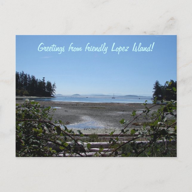 Blackberries on Lopez Postcard (Front)