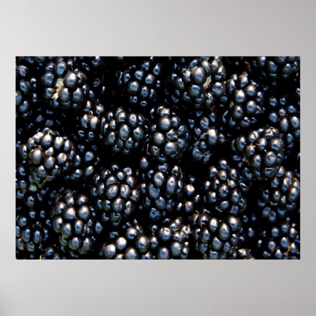 Blackberries Poster (Front)