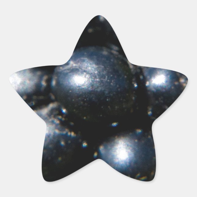 Blackberries Star Sticker (Front)