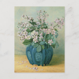Blackberry Blossoms Postcard