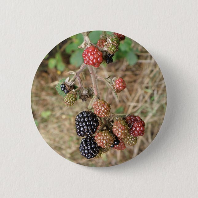 Blackberry Bonanza Button (Front)