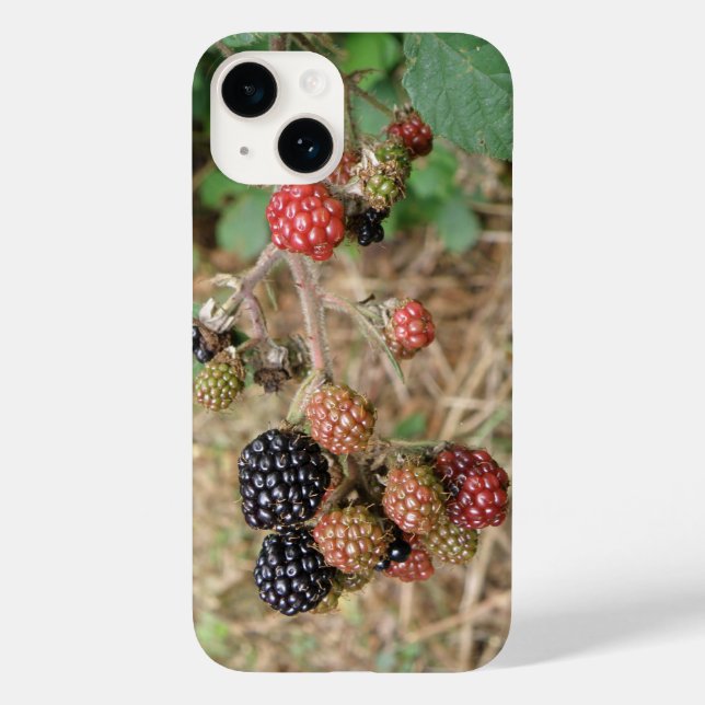 Blackberry Bonanza Case-Mate iPhone Case (Back)