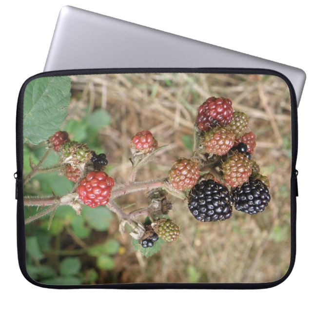 Blackberry Bonanza Laptop Bag (Front)