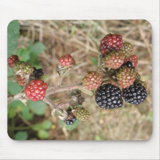 Blackberry Bonanza Mousepad