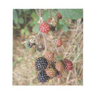 Blackberry Bonanza Notepad