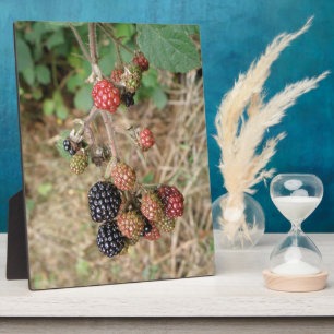 Blackberry Bonanza Plaque