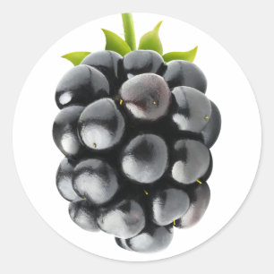 Blackberry Classic Round Sticker
