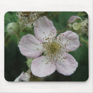 Blackberry Flower Macro Mousepad