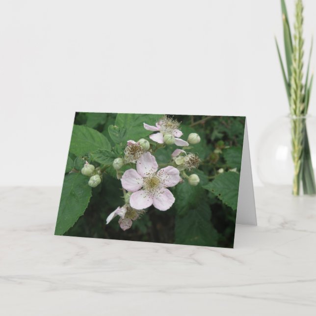 Blackberry Flowers Custom Greeting Card (Front)
