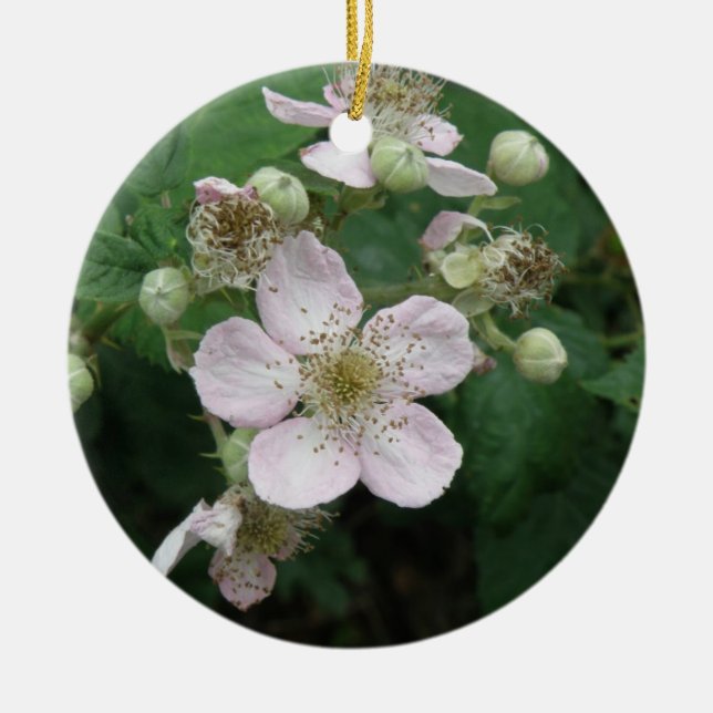 Blackberry Flowers Ornaments (Front)