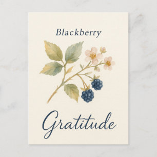 Blackberry — Gratitude Postcard