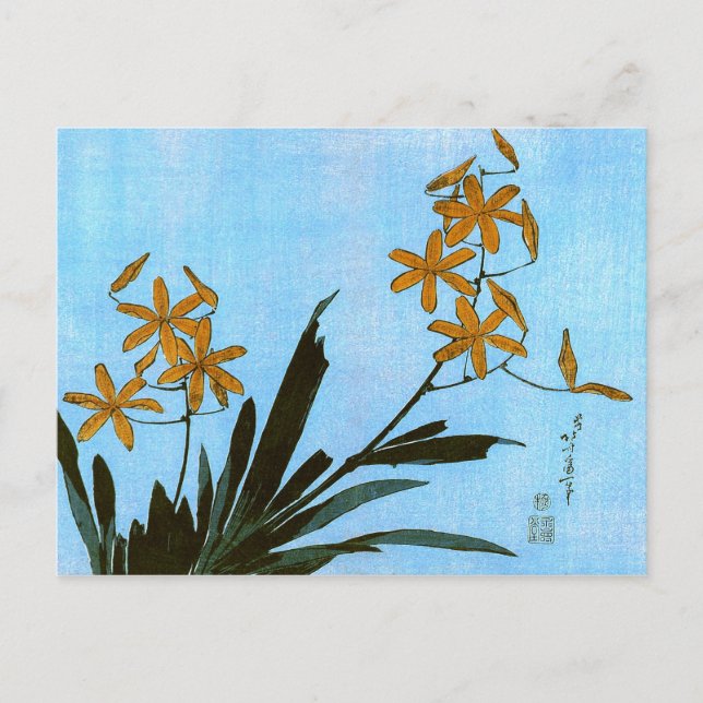 Blackberry Lily Hokusai Japanese Fine Art Postcard (Front)