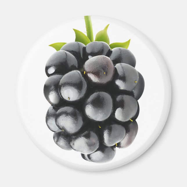 Blackberry Magnet (Front)