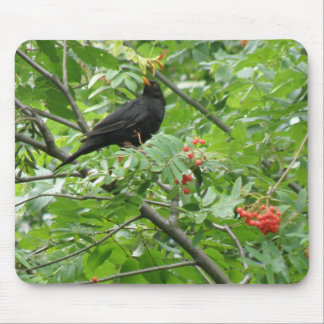 Blackbird and Berries Mousepad