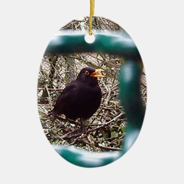 Blackbird behind bars, Animal, Birds, Black Bird Ceramic Ornament (Front)