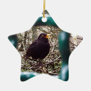 Blackbird behind bars, Animal, Birds, Black Bird Ceramic Ornament