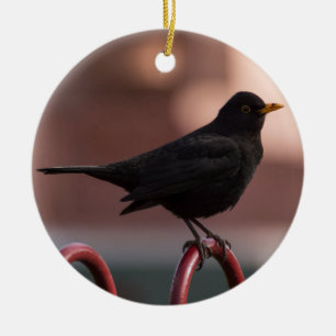 Blackbird Ceramic Ornament