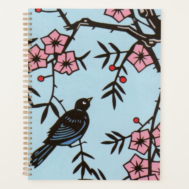 Blackbird dans cerisier Fleurs roses Baies rouges  (Devant)